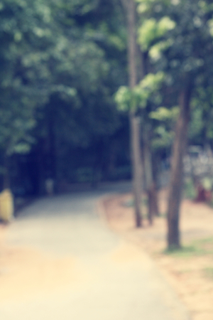 blurred forestの写真素材