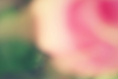 Pink backgroundの写真素材