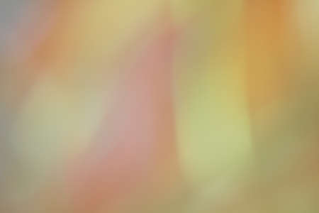 Colorful backgroundの写真素材