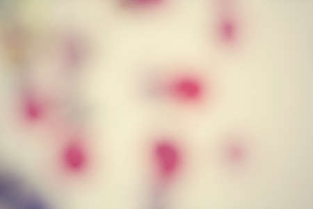 Colorful backgroundの写真素材