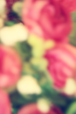 Blurred of rose fowersの写真素材