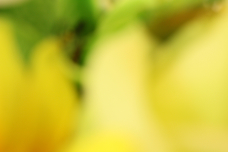 Blurred of forestの写真素材