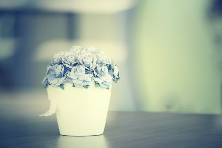 Rose flowersの写真素材