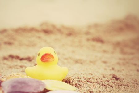 Yellow rubber duckの写真素材