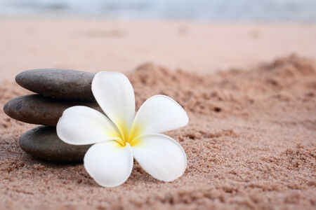 Spa of frangipani flower and stonesの写真素材