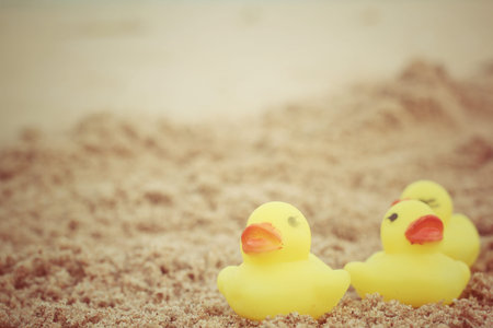 Yellow rubber duck