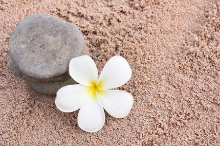 Spa of frangipani flower and stonesの写真素材