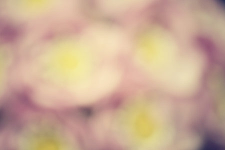 blurred Pink flower background