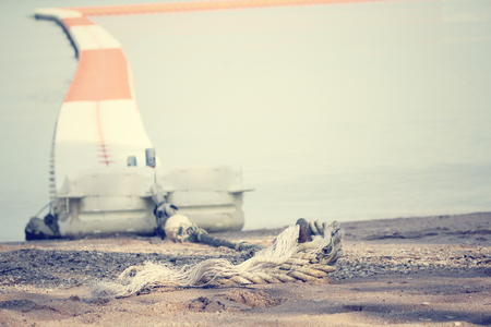 Lifebuoy in the seaの写真素材