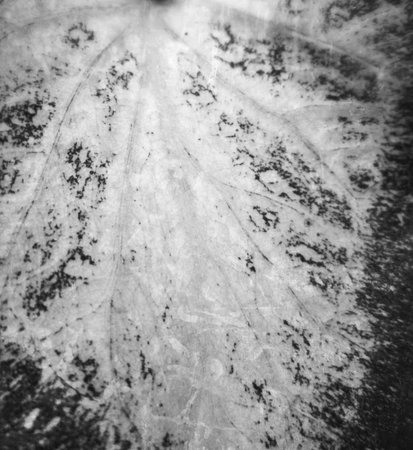 Gray backgroundの写真素材