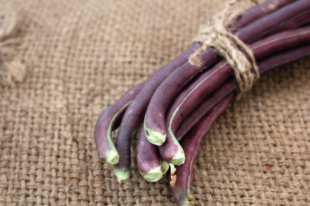 long beansの写真素材