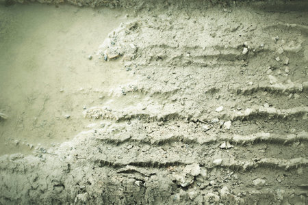 Wheel tracks on the soil.