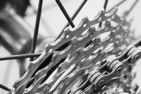 Bicycle gears