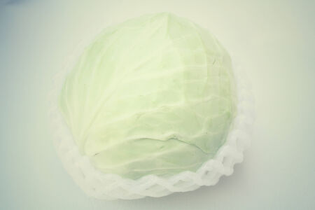 cabbageの写真素材
