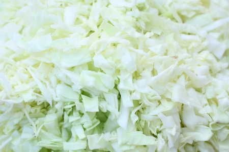 cabbageの写真素材