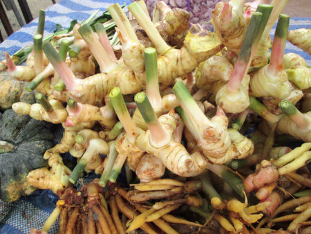Galangal