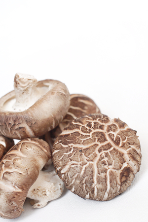 Shiitake mushrooms isolatedの写真素材