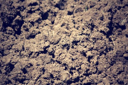 Soil background