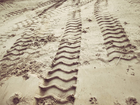 Wheel tracks on the soil.の写真素材