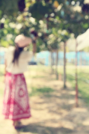Blurred of woman in vineyardの写真素材