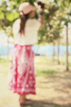 Blurred of woman in vineyardの写真素材