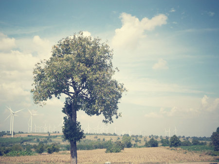 wind turbineの写真素材