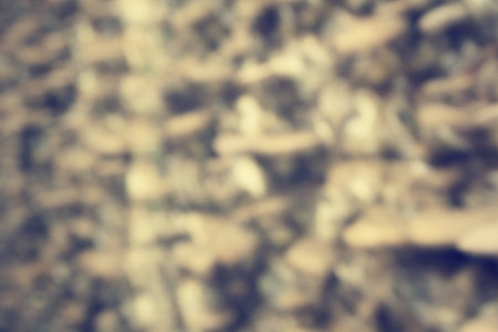 Blurred of ganoderma lucidum - ling zhi mushroom.の写真素材