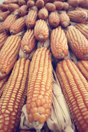 Dried corns