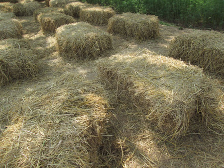 Hay bales