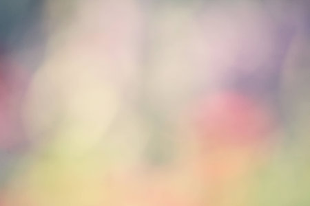 blurred of flowersの写真素材