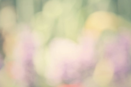 blurred of flowersの写真素材