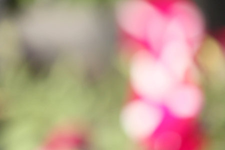 blurred of flowers
