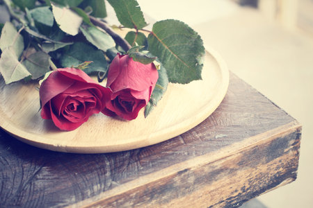 Red rosesの写真素材