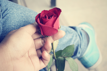 Red roses with handの写真素材