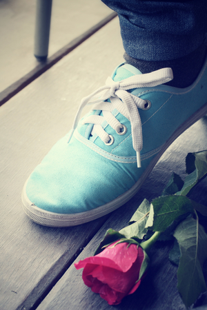 Red rose with sneakerの写真素材