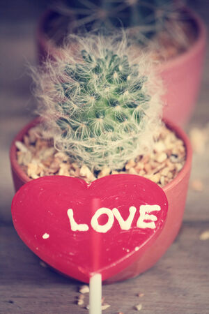 Candy valentines heartsの写真素材