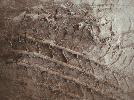 Wheel tracks on the soil.の写真素材
