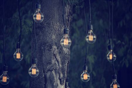Vintage light bulbの写真素材