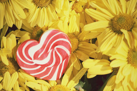Candy valentines heart with flowersの写真素材