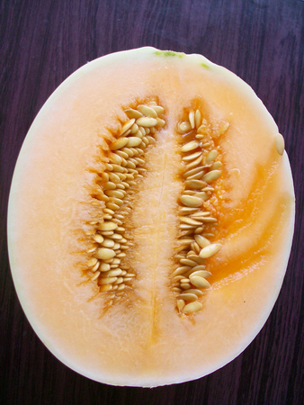 Cantaloupeの写真素材