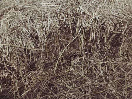 Hay bales at the farmの写真素材