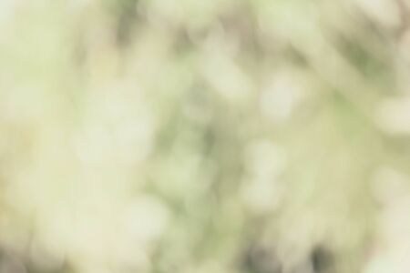 Vintage bokehの写真素材