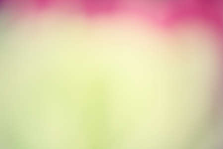 Vintage backgroundの写真素材