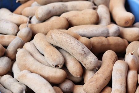 Tamarindの写真素材