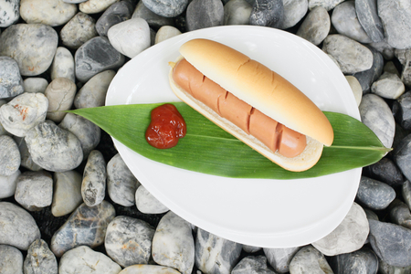 Fast food hot dog with ketchupの写真素材