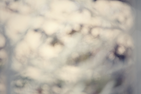 Vintage bokehの写真素材