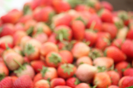 Blurred of strawberriesの写真素材