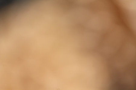 Brown backgroundの写真素材