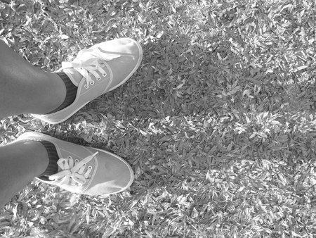 Sneakersの写真素材