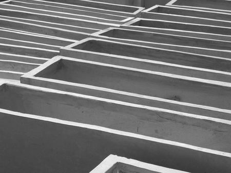 Flower potの写真素材